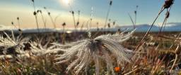 Rekordhøye temperaturer på Svalbard og Nord-Norge i hele sommer