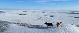 Scientists from around the world share knowledge about sea ice in the Arctic and Antarctic