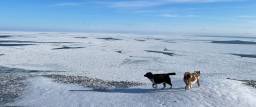Scientists from around the world share knowledge about sea ice in the Arctic and Antarctic