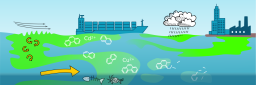 Illustrasjonen viser et skip, en sky, en by og en fabrikk og hvordan kjemisk utslipp fra disse kildene brytes ned og driver med strømmer i havet. Nederst viser kadaver av en fisk og en krabbe.