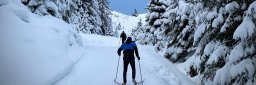 Mye snø og godt skiføre er ikke hverdagskost i Bergen. Byen har hatt den tiende kaldeste toukersperioden noen gang målt. 