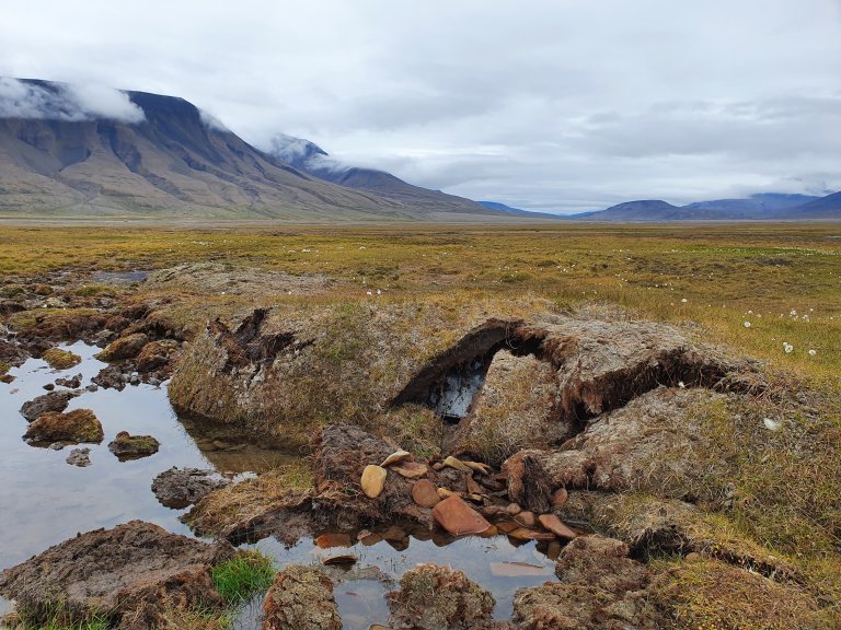 Landskap som viser små ansamlinger av vann og sprekker i permafrosten. Fjell i bakgrunnen, lavt skydekke.