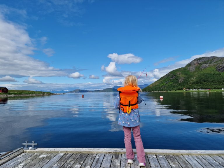 Litt regn først på dagen, men sol og klart utover dagen. Det skriver innsender om bildet som er tatt i Kjelkvika i Tysfjord, Narvik kommune. Det viser en jente med fiskestang på en brygge i havgapet.