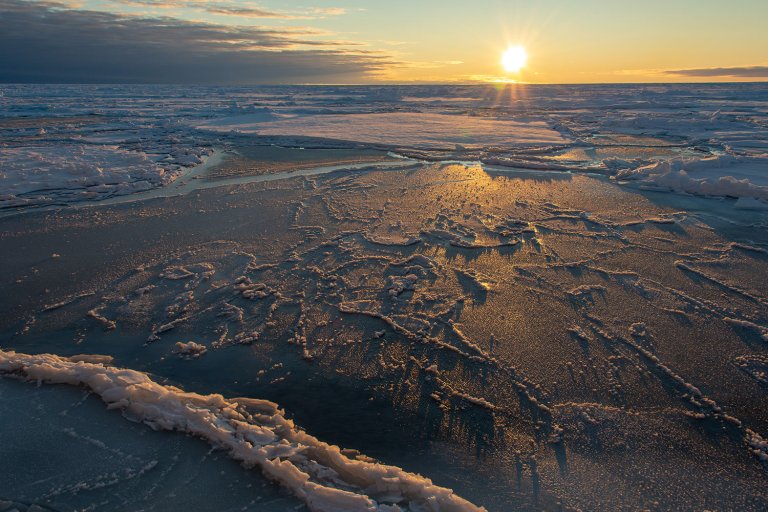 Sjøis i arktiske områder legger seg som et lag med frossent sjøvann som flyter på vannet.
