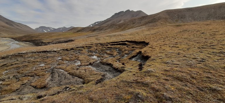 Utgliding av det aktive laget over permafrosten i Hanaskogdalen på Svalbard, som følge av rekordhøy jordtemperatur i deler av august 2019. Tining av det øvre permafrostlaget fører til at skråninger blir mer ustabile. I kombinasjon med kraftig nedbør øker sannsynligheten for slike typer utglidninger, samt flomskred og jordskred. Foto: Norsk Polarinstitutt/Virve Ravolainen.