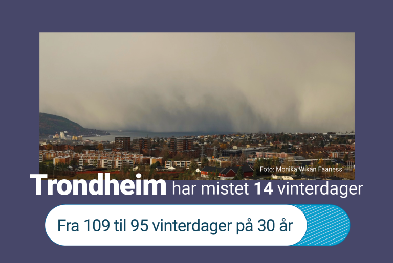 Vintern krymper trondheim FB