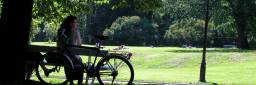 Oslo sentrum. Sykkel i Slottsparken. Park