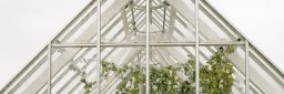Et drivhus med store grønne planter