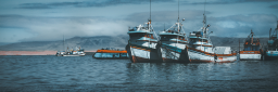 Tre fiskebåter i havn ved Islas Ballestas i Peru