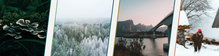 Bildet viser fire bilder av norsk natur. Mose og sopp, trær, en bro og høye fjel.